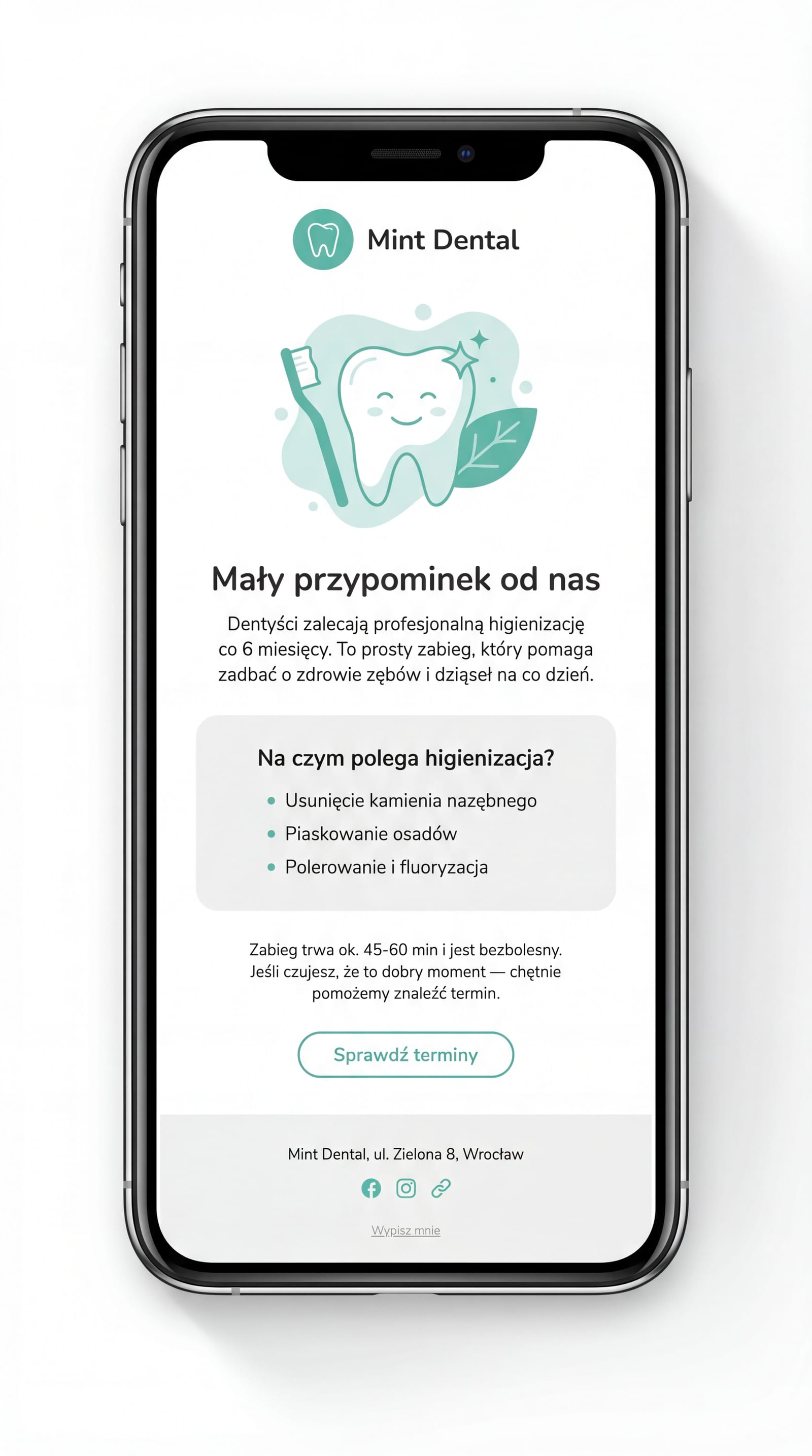 Email — higienizacja (Mint Dental)